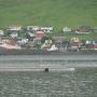 Zicht op Oyndarfjørður vanuit Hellur